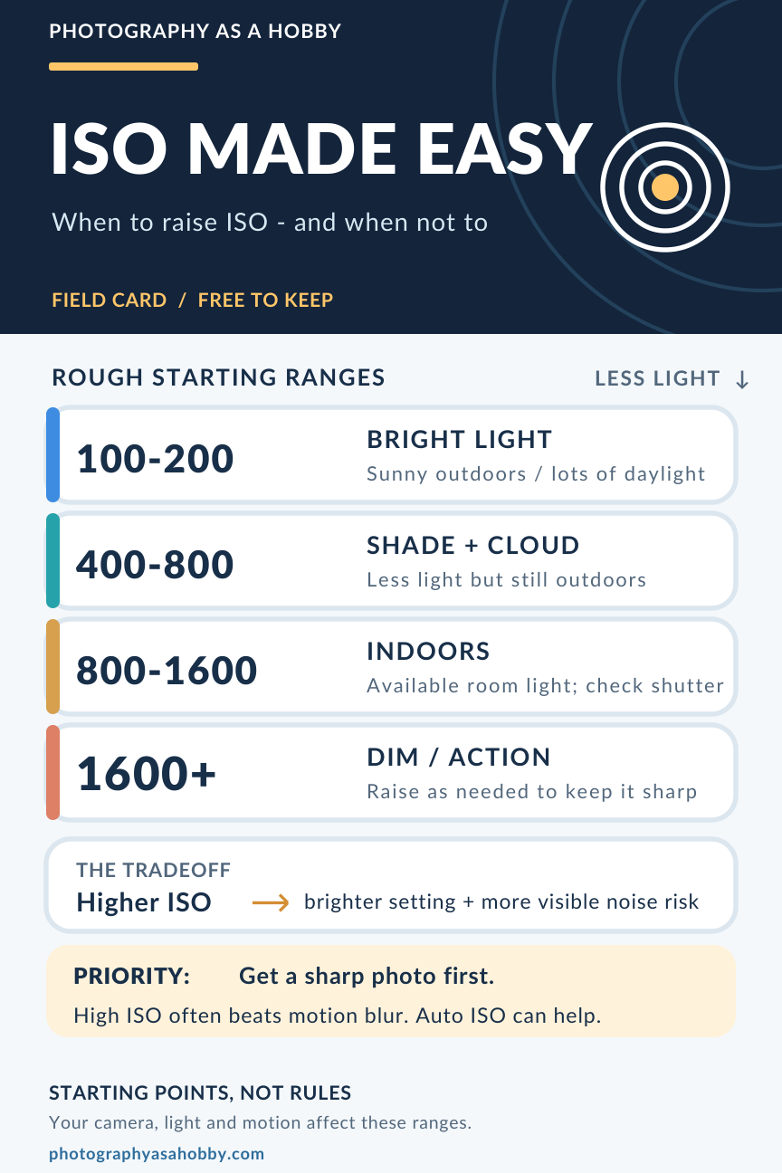 ISO cheat sheet explaining practical ISO ranges, light, and image noise for beginner photographers